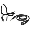 Image de EASY WALK Harnais XL - Noir - Pour chien