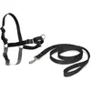 Image de PetSafe Marche facile (XL, Chien, Promenade), Collier + laisse