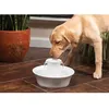 Image de PETSAFE Fontaine Avalon 2 litres