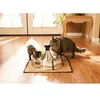 Image de PETSAFE Fontaine 360? - INOX - 3,8L