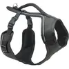 Image de PetSafe Easy Sport (L, Chien, Promenade), Collier + laisse