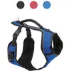 Image de PetSafe Licol EasySport (Chien, Promenade), Collier + laisse