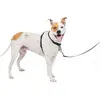 Image de PetSafe Dispositif de retenue et harnais 3 en 1 (M, Chien, Général, Promenade), Collier + laisse