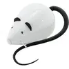 Image de PetSafe Gioco automatico per gatti FroliCat RoloRat (Jouet à l'herbe à chat), Jouets pour chat