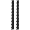Image de APC Vertical Cable Manager pour NetShelter SX 600mm Wide 42U (Qty 2), Accessoire ASI