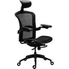 Image de Tesoro Alphaeon E5, Chaise gaming, Noir