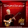 Image de GHS DGG David Gilmour Signature 10,5-50