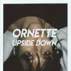 Image de Upside Down