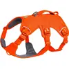 Image de Ruffwear Web Master (M, Chien), Collier + laisse