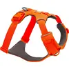 Image de Ruffwear Front Range Hundegeschirr, leuchtend orange, Grösse S (S, Chien), Collier + laisse