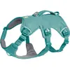 Image de Ruffwear Web Master (S, Chien), Collier + laisse