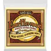 Image de Ernie Ball 2051 Earthwood Silk Soft 12C 9-46 Jeux folk 12 cordes