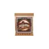 Image de Ernie Ball 2146 Hearthwood Phosphor Bronze Medium Light 12-54