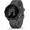 Image de Garmin Forerunner 245 gris et bracelet en silicone gris en occasion ou reconditionné