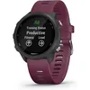 Image de Garmin Forerunner 245 gris et bracelet en silicone merlot en occasion ou reconditionné