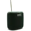 Image de Pure Woodland Mini (17 h), Enceinte Bluetooth, Noir, Vert