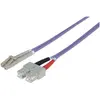 Image de Intellinet Câble réseau (2 m), Câble réseau