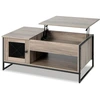 Image de CostwayTable Basse avec Plateau Élévateur Pneumatique Compartiments Ouverts et 2 Casiers Conception à 2 Porte 104 x 52,5 x 58 cm