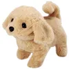 Image de Peluche Teddy Chien Sy37 18cm Peut Aboyer Et Marcher Avec La Queue_Or