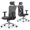 Image de SIHOO M18 Fauteuil de Bureau,avec Support Lombaire et accoudoir réglable,Noir