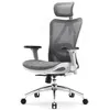 Image de SIHOO M57 Fauteuil de Bureau Ergonomique pour Ordinateur avec appuie-tête réglable, Dossier et accoudoirs en Maille; Gis clair