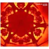 Image de Geogaddi Vinyle album