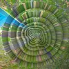Image de Collapse