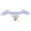 Image de Nemesis Now, Décorations de sapin de Noël, Harry Potter Hedwig Wall Plaque 45cm