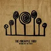 Image de Nothing But The Truth Vinyle album
