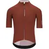 Image de Q36.5 Maillot manches courtes Dottore Pro