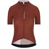 Image de Q36.5 Maillot à Manches Courtes Dottore Pro L