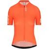 Image de Q36.5 Maillot à Manches Courtes Gregarius Pro Signature L