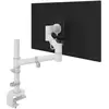 Image de Dataflex Bras pour moniteur VIEWGO (Tables, 26", 8 kg), Support de moniteur, Blanc