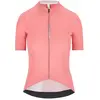 Image de Q36.5 Maillot à Manches Courtes Dottore Pro XS