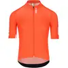 Image de Q36.5 Maillot manches courtes Gregarius Pro Signature