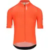 Image de Q36.5 Maillot à Manches Courtes Gregarius Pro Signature 3XL