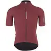 Image de Q36.5 Maillot manches courtes Pinstripe Pro