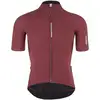 Image de Q36.5 Maillot manches courtes Pinstripe Pro