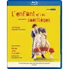 Image de L'enfant et les sortilèges