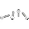 Image de Wolf Tooth Vis De Porte-bidon Titanium Standard Head Raw One Size