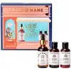 Image de FABLE & MANE Where Hair Roars - Coffret Soins Cheveux: Force, Volume & Brillance