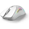 Image de Glorious PC Gaming Race Glorious Modèle D 2 Souris de jeu sans fil - blanche (Sans fil), Souris, Blanc