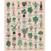 Image de Puzzle 1000 pièces : Plantes d'intérieur Galison