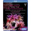 Image de Iolanta And The Nutcracker Blu-ray
