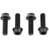 Image de Wolf Tooth Vis De Porte-bidon M5 X 15 Mm 4 Unités One Size