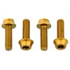 Image de Wolf Tooth Vis De Porte-bidon M5 X 15 Mm 4 Unités One Size