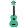 Image de Kala KA-WMS-GN-S - Waterman, ukulélé soprano - Sea Foam Green