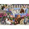 Image de Puzzle 1000 pièces : Une vie de chat