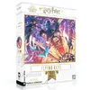 Image de Puzzle 1000 pièces : Harry Potter : Les clés volantes New York Puzzle Company