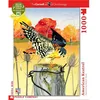 Image de Puzzle 1000 pièces : Crécerelle d'Amérique New York Puzzle Company